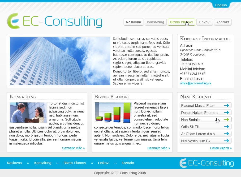 EC Consulting