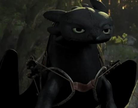 Toothless Loking Seriously Out by TheBandicoot on DeviantArt