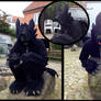 Toothless Cosplay