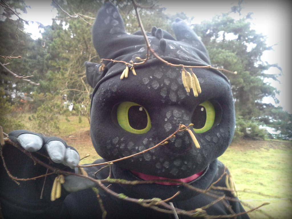 Toothless Cosplay - I'm To cute!!