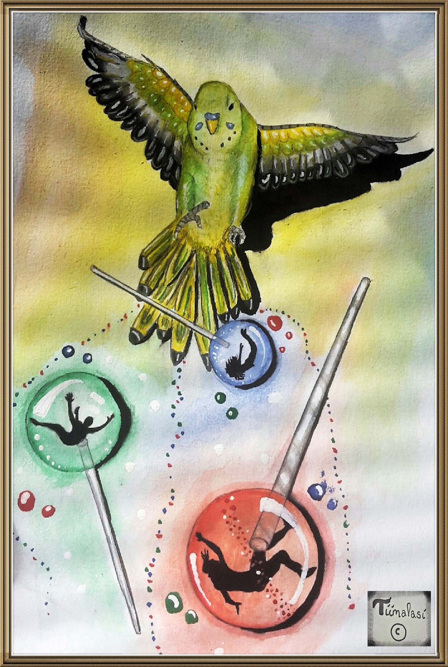 Flying lollipops and a budgie