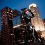 Catch me if you can - Catwoman