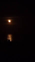 Moon and Ocean at Night