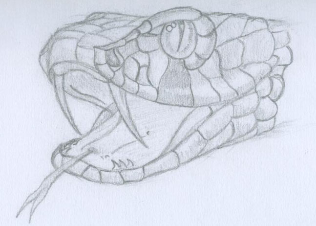 how to draw a snake head