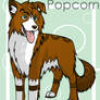 Popcorn Collie