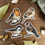 Bird stickers by VelkahArt