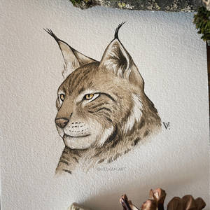 Lynx study