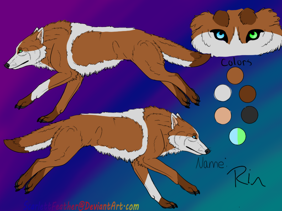 Rins Refrence sheet