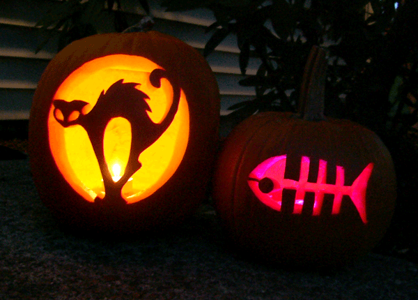 Cat-Themed Pumpkins