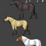 Equine Adoptables