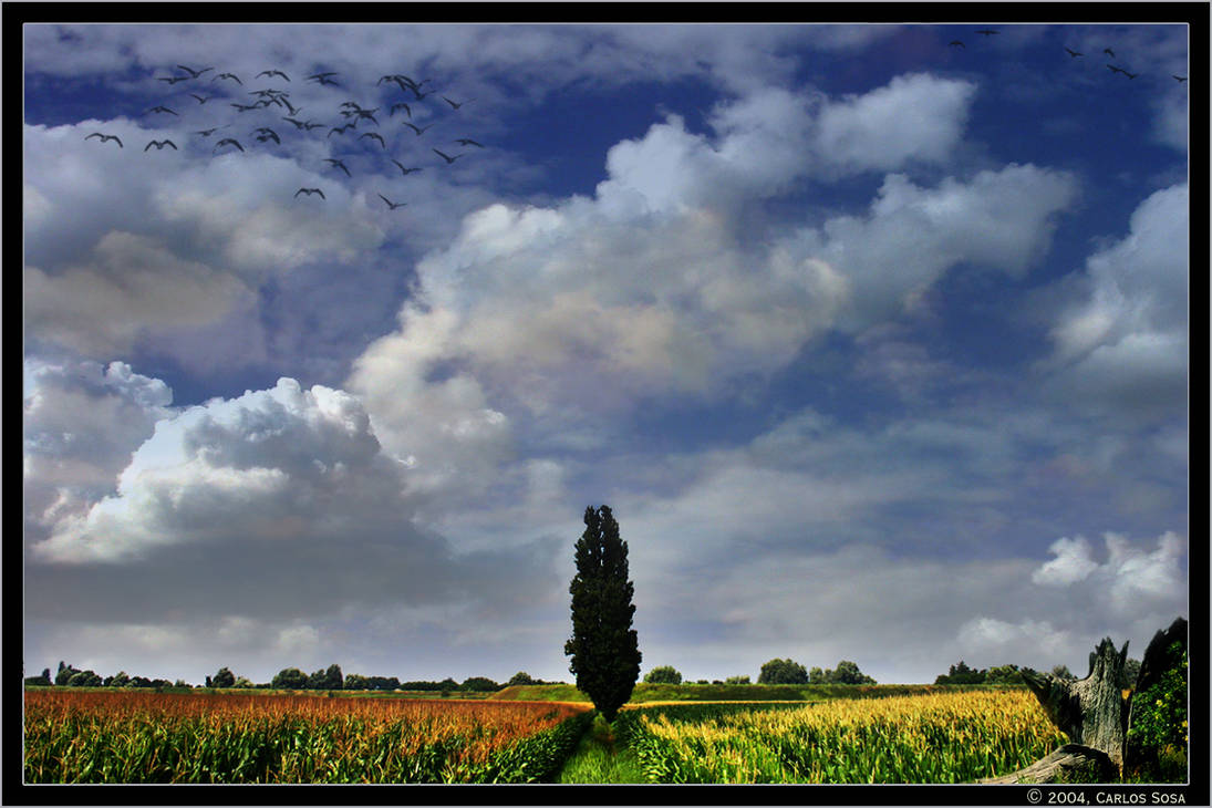 Extremos by zekzo on DeviantArt