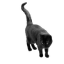 black cat png