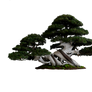 tree png