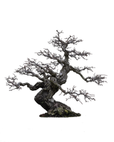 tree png