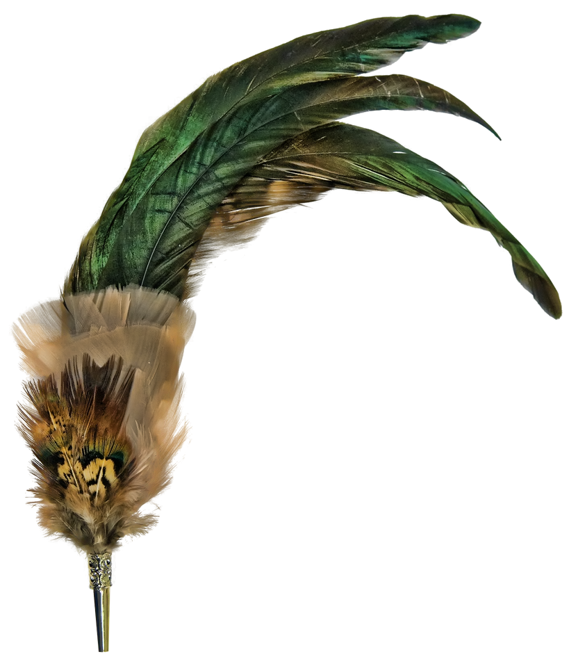 Broche Python feathered broche png by camelfobia on DeviantArt