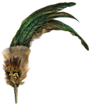 feathered broche png