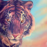 Tigress of My Soul