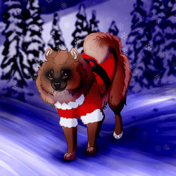 Santa Paws is Coming to Town