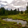 Just Another Yellowstone View