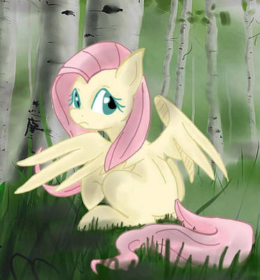 Fluttershy in the fog