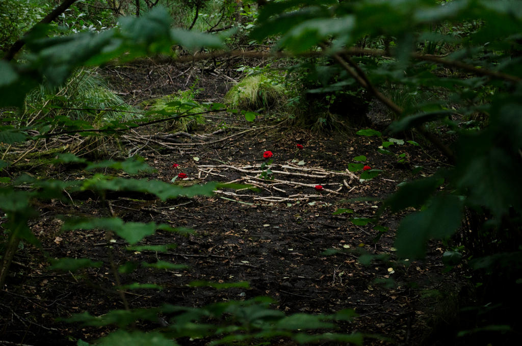 Forrest ritual site by Plysse on DeviantArt