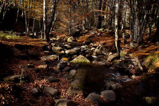 Vitosha, Bulgaria