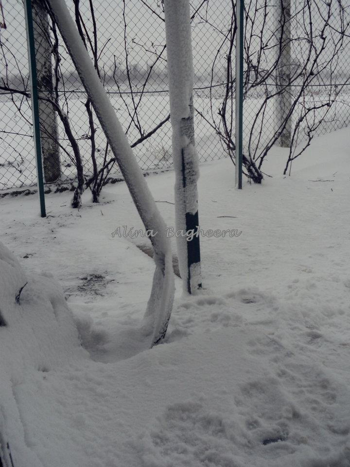 Snow Storm 3 By Alinabagheera On Deviantart Snow Storm 3 By Alinabagheera On Deviantart