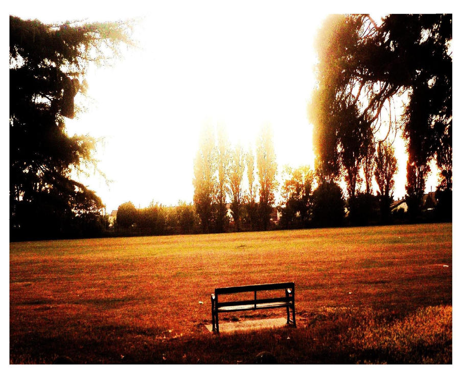 .the empty bench