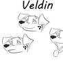 Veldin (Quick drawing of head 3/4 perspective)