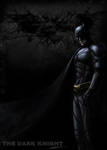 The Dark Knight by sherrill018