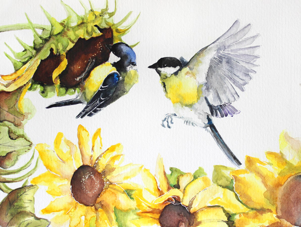 great tit and sunflowers