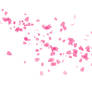 Minimalistic Pink Sakura Petals Wallpaper
