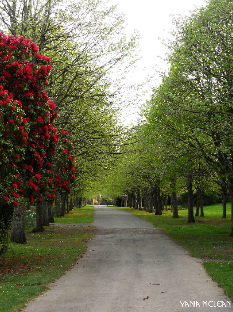 Native Red Path Red Path by ymclean on DeviantArt