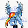 Rainbowdash