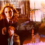 Shade - Hermione and Ron