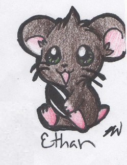 Ethan Hamster