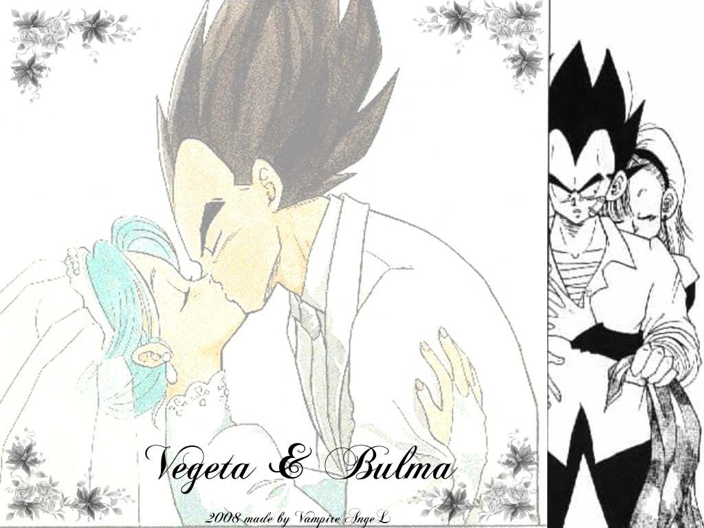 Bulma and Vegeta Wedding by vanpaiatenshi on DeviantArt