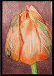 Tulip ACEO by unSpookyLaughter