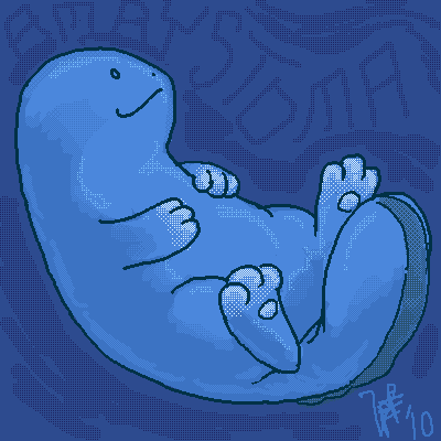 Blue Salamander, Anyone?