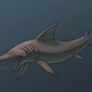 SHARK WEEK 2013 #5 - Basking