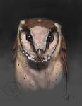 Oriental Bay Owl Speedpaint Portrait by comixqueen
