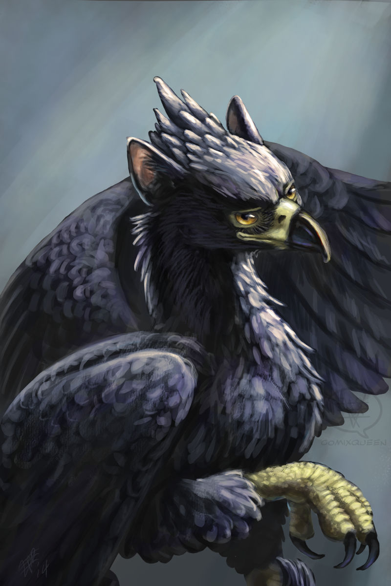 The Black Gryphon