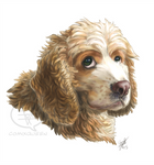 Portrait Commission - Cooper by comixqueen