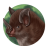 2020MMM - Long-legged Bat