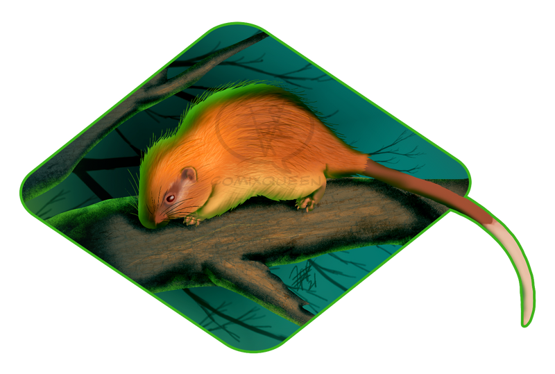 Slibende Anzai Ubrugelig 2021MMM - Red-crested Tree-rat Round 2 by comixqueen on DeviantArt