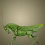 Entom-horse-logy series - Tettigonidae