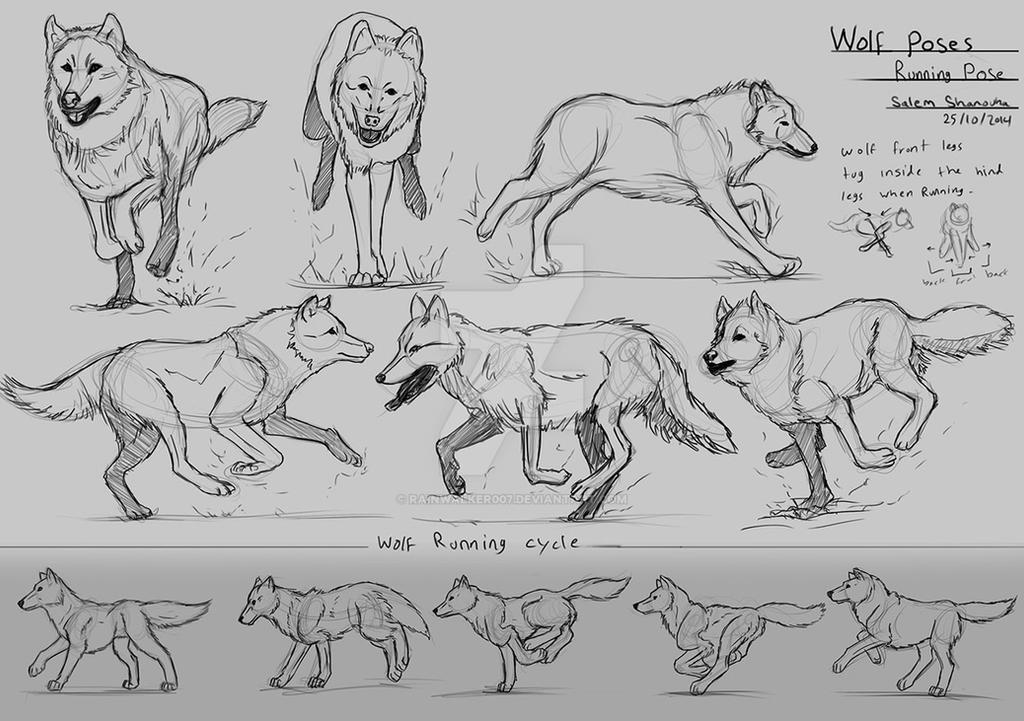 Wolves Running Drawing Simple How To Draw A Running Wolf