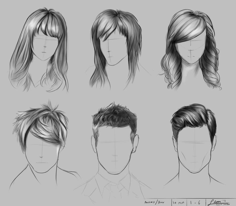 Visual Library Series - Anatomy - Sheet 1/100 by rainwalker007 on ...