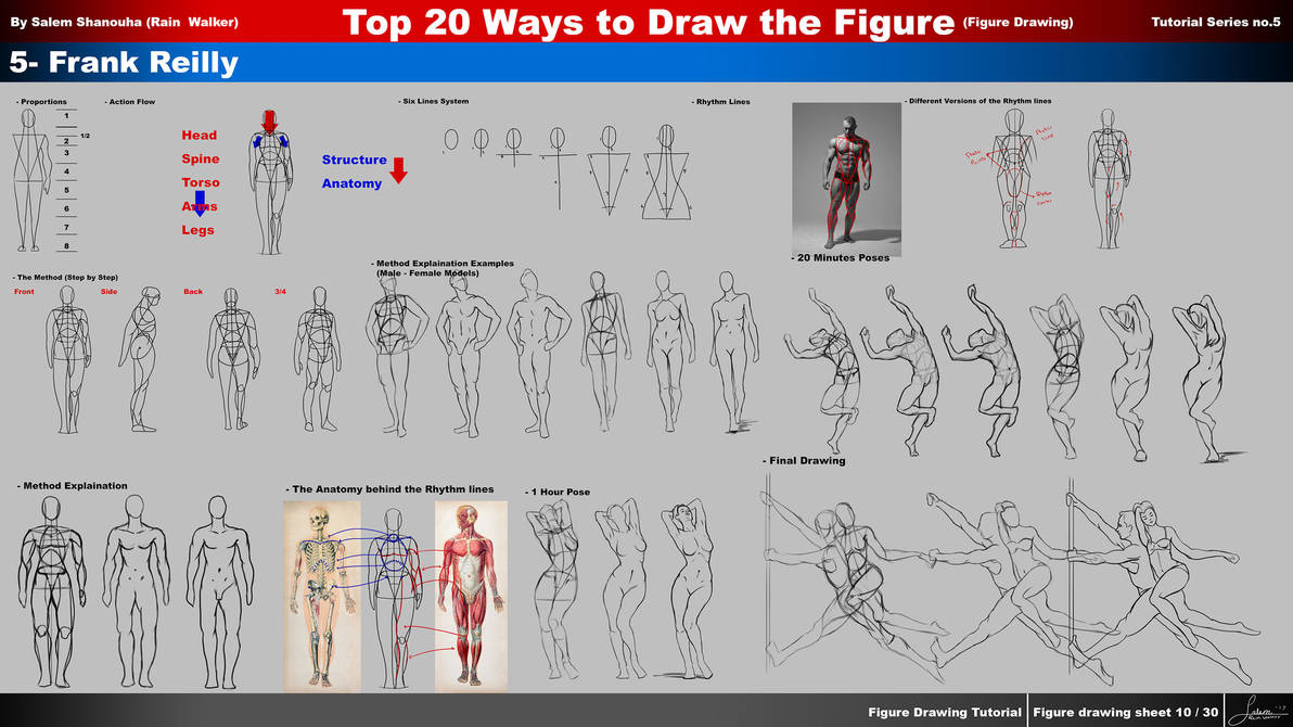 Top 20 ways to draw the figure Ch. 5-Frank Reilly by rainwalker007 on ...