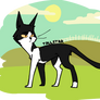 windclan